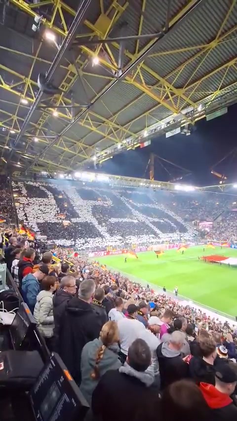 潘江：新外援马上就到 目前迪亚洛和古德温是确定的 其他的还在看